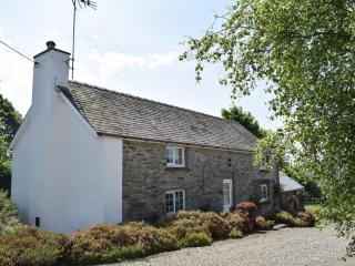 Lletty Cottage - Capel-Ifan - 2