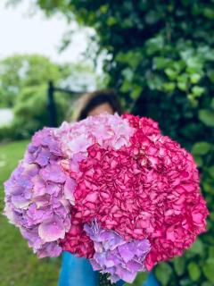 L'écrin de verdure GITE VERVEINE - 1