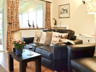 Clip Clops - Findon - 7