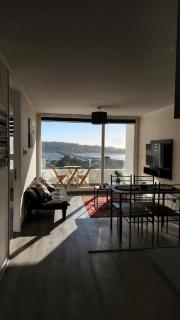 Departamento Concepción - 8