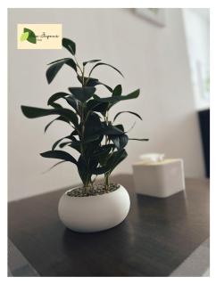 The Podium By Eco Joyous Stay - Kuching - 4
