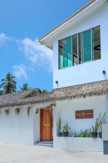 Shell Curves Thoddoo - 1