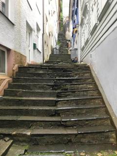 Large apartment in historical street - 5