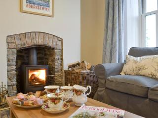 Tyllwyd Farmhouse - Capel Bangor - 8