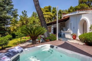 Palms Jacuzzi and Pool Villa - Sani Beach - 4