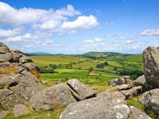 Rosemary Cottage-Uk42032 - Highampton - 8