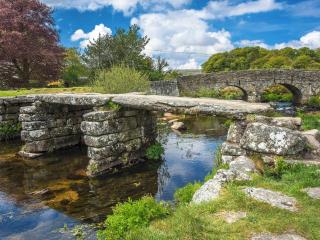 Rosemary Cottage-Uk42032 - Highampton - 5