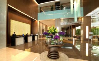 Radisson Blu Hotel, Kayseri - Kayseri - 9