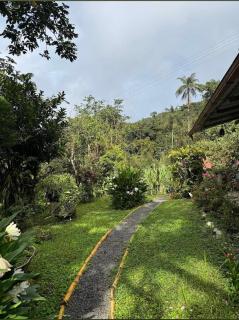 Glamping para experiencias únicas en pareja - San Carlos - 3