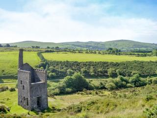Birch Lodge - Lamerton - 4
