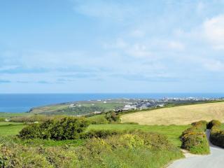 Birch Lodge - Lamerton - 3