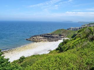 Hawthorn - Llanddona - 3