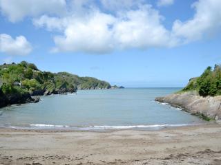 Fisher - Fdm - Ilfracombe - 2