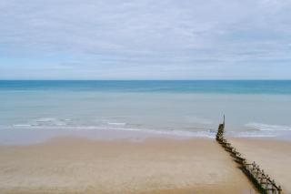 Samphire - Cromer - 2