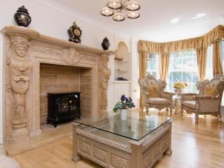 Copper Beech Cottage - Henfynyw Upper - 8