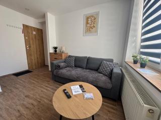 ApartamentsByMatyrafa-XI - Tarnowskie Góry - 8