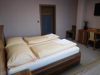 Hotel Panon - Hodonín - 3