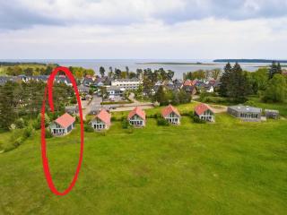 Ferienhaus Wiesengeflüster S1 - mit Sauna, Kamin und Workation an der Müritz - Marienfelde - 9