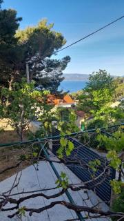 House Pine tree - Lokva Rogoznica - 9