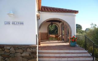 Los Olivos - Sayalonga - 5