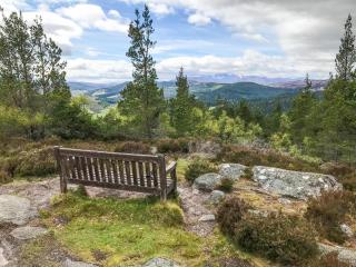 Pine Tree Cottage - Uk45925 - Ballater - 5