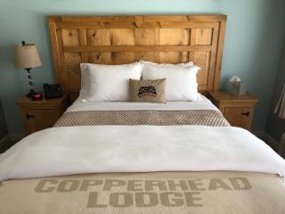 The Copperhead Lodge - Blairsville - 9