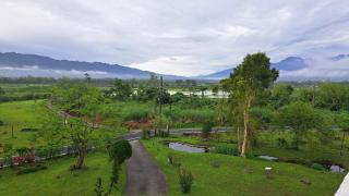Green Forest Homestay - Nung-hui-ti - 2