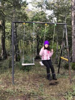 Cabaña en Parcela camino al Conguillío 1 - 5