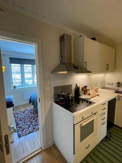 Cozy apartment close to the city center - 3