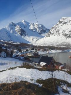 Lyngsalpan Resort - Koppangen - 8