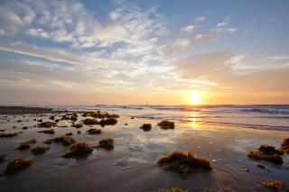 Lantana Retreat Unit #3 - South Padre Island - 5