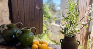 Bucolic garden - magical view - the bohemian life! - Villeneuve-lès-Avignon - 8