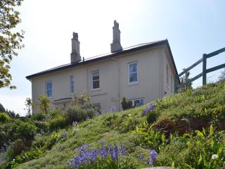 Foxglove - Shaldon - 4