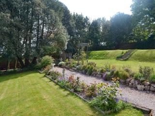 Foxglove - Shaldon - 2