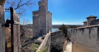 Bucolic garden - magical view - the bohemian life! - Villeneuve-lès-Avignon - 9