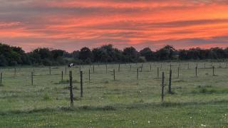 Quaint Oxfordshire cottage on a peaceful farm - 6