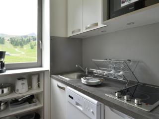 Studio divisible rénové, 4 pers, accès direct pistes, animaux admis - FR-1-181-2385 - La Plagne Tarentaise - 9