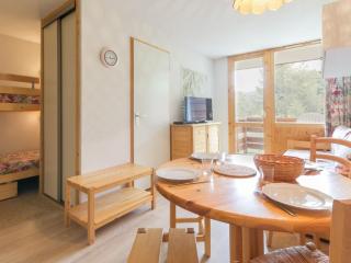 Studio lumineux · Ski aux pieds · Balcon privé - FR-1-181-2454 - Aime-la-Plagne - 0