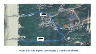 Cottage au calme dans les dunes - Le Touquet-Paris-Plage - 5