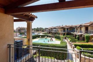Myrsine Jenny - Murta Maria - 5