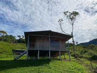 Econative Baru Toucan Cabin con vista al bosque de Platanillo - Platanillo - 0