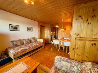 Studio Valaisia 45a - Nendaz - 3