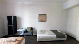 Flat in Zizkov -103- - Prague - 6