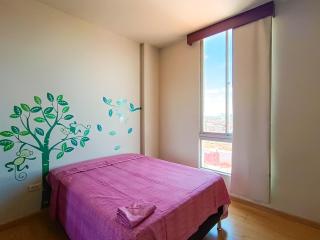 Departamento amplio, céntrico con hermosa vista - Santa Cruz de la Sierra - 8