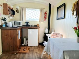 Galahad - Shepherd's Hut - 4