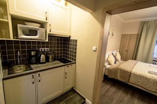 Champagne Studio with Sauna - Prague - 5