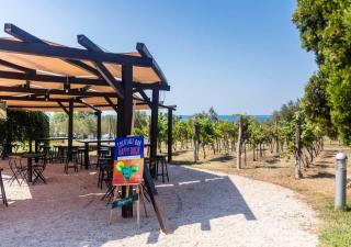 Camping Park Umag - Eurocamp I Homair - 1