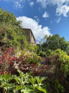 OTA T2 proche rivières et plages, randonnées - 6