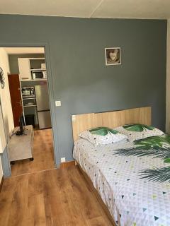 OTA T2 proche rivières et plages, randonnées - - 2