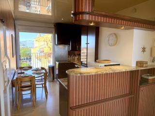 Grand appartement climatisé avec terrasses, vue mer, parking et WIFI - FR-1-335-173 - Hyères - 5